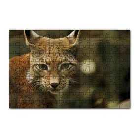 Cakapuzzle Vaşak Yakın Çekim Flu Arkaplan 120 Parça Ahşap Puzzle