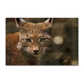 Cakapuzzle Vaşak Yakın Çekim Flu Arkaplan 120 Parça Ahşap Puzzle