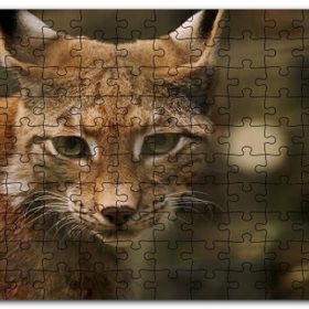 Cakapuzzle Vaşak Yakın Çekim Flu Arkaplan Mdf 120 Parça Puzzle