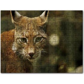 Cakapuzzle Vaşak Yakın Çekim Flu Arkaplan Mdf 120 Parça Puzzle