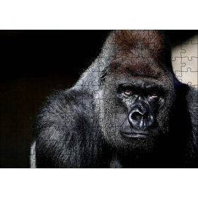 Cakapuzzle Western Lowland Gorilla Görseli Mdf 120 Parça Puzzle