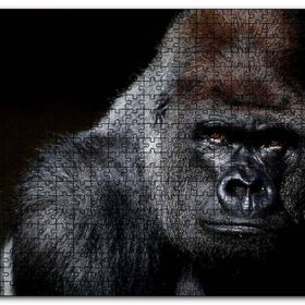 Cakapuzzle Western Lowland Gorilla Görseli Mdf 500 Parça Puzzle