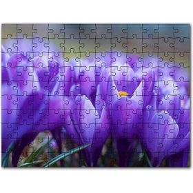 Cakapuzzle Yaban Hayat Leopar Hayvan Görseli 500 Parça Puzzle