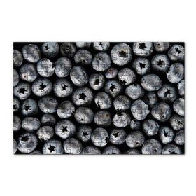 Cakapuzzle Yabanmersini Meyveleri Yanaşık Düzen 120 Parça Ahşap Puzzle