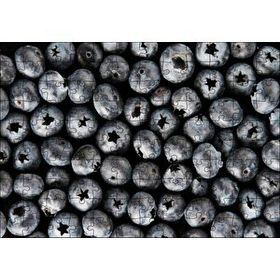 Cakapuzzle Yabanmersini Meyveleri Yanaşık Düzen 120 Parça Ahşap Puzzle
