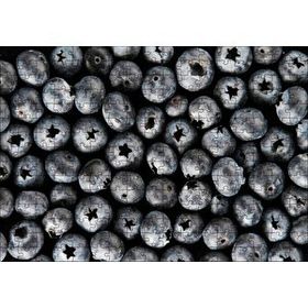 Cakapuzzle Yabanmersini Meyveleri Yanaşık Düzen 120 Parça Ahşap Puzzle