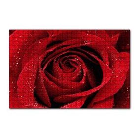 Cakapuzzle Yağmur Damlası Ve Güzel Gül Fotoğrafı 120 Parça Ahşap Puzzle