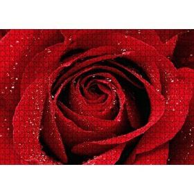 Cakapuzzle Yağmur Damlası Ve Güzel Gül Fotoğrafı 120 Parça Ahşap Puzzle