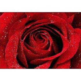 Cakapuzzle Yağmur Damlası Ve Güzel Gül Fotoğrafı 120 Parça Ahşap Puzzle
