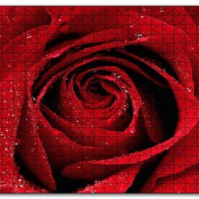 Cakapuzzle Yağmur Damlası ve Güzel Gül Fotoğrafı Mdf 120 Parça Puzzle