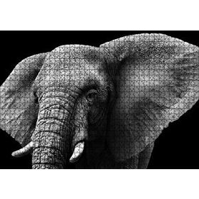Cakapuzzle Yakın Plan Fil Siyah Beyaz 120 Parça Ahşap Puzzle