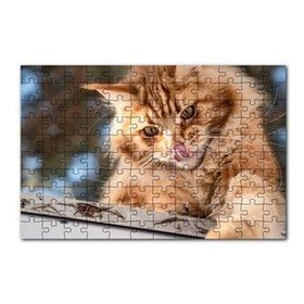Cakapuzzle Yalanan Sarı Sevimli Kedi 120 Parça Ahşap Puzzle