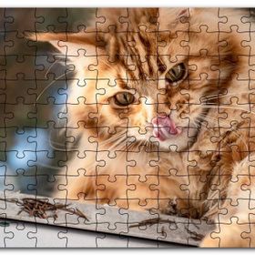 Cakapuzzle Yalanan Sarı Sevimli Kedi Mdf 255 Parça Puzzle