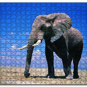 Cakapuzzle Yalnız Fil Ahşap 255 Parça Puzzle