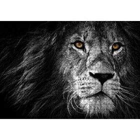 Cakapuzzle Yalnız Kral Erkek Aslan Yakın Portre Siyah Beyaz 500 Parça Puzzle