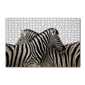 Cakapuzzle Yanyana Bir Çift Zebra 120 Parça Ahşap Puzzle