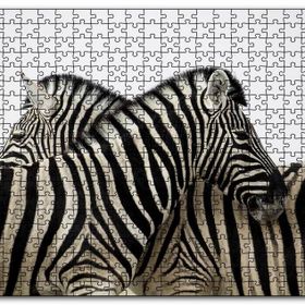 Cakapuzzle Yanyana Bir Çift Zebra Mdf 1000 Parça Puzzle