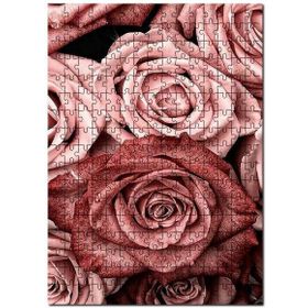 Cakapuzzle Yanyana Pembe ve Kırmızı Güller Mdf 500 Parça Puzzle