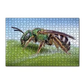 Cakapuzzle Yaprağın Üzerindeki Yaban Arısı Makro Çekim 120 Parça Ahşap Puzzle