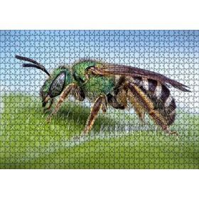 Cakapuzzle Yaprağın Üzerindeki Yaban Arısı Makro Çekim 120 Parça Ahşap Puzzle