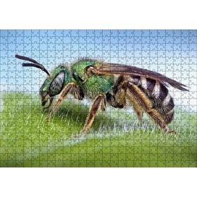 Cakapuzzle Yaprağın Üzerindeki Yaban Arısı Makro Çekim 120 Parça Ahşap Puzzle