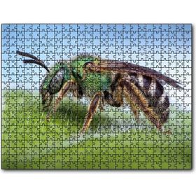 Cakapuzzle Yaprağın Üzerindeki Yaban Arısı Makro Çekim Mdf 120 Parça Puzzle