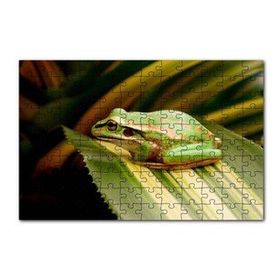 Cakapuzzle Yaprak Üzerinde Dinlenen Yeşil Kurbağa 120 Parça Ahşap Puzzle