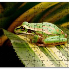 Cakapuzzle Yaprak Üzerinde Dinlenen Yeşil Kurbağa Mdf 120 Parça Puzzle