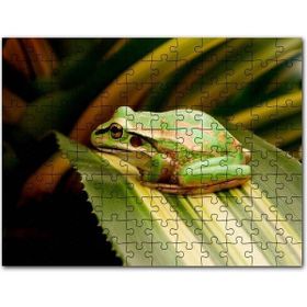 Cakapuzzle Yaprak Üzerinde Dinlenen Yeşil Kurbağa Mdf 120 Parça Puzzle
