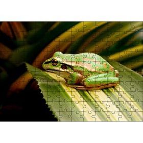 Cakapuzzle Yaprak Üzerinde Dinlenen Yeşil Kurbağa Mdf 120 Parça Puzzle