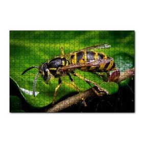 Cakapuzzle Yapraktan Su İçen Eşek Arısı Makro Çekim 120 Parça Ahşap Puzzle