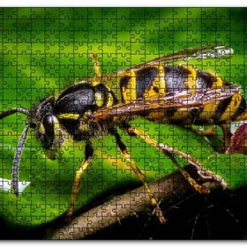 Cakapuzzle Yapraktan Su İçen Eşek Arısı Makro Çekim Mdf 120 Parça Puzzle