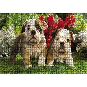 Cakapuzzle Yavru Bulldogs 120 Parça Ahşap Puzzle