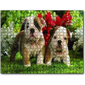 Cakapuzzle Yavru Bulldogs Ahşap 500 Parça Puzzle