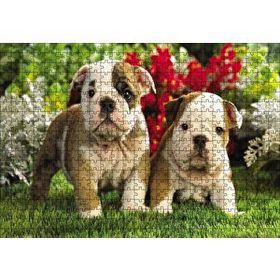 Cakapuzzle Yavru Bulldogs Ahşap 500 Parça Puzzle