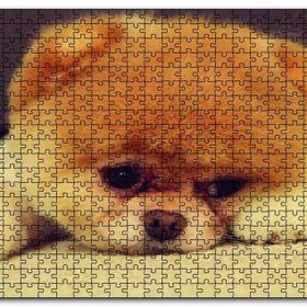 Cakapuzzle Yavru Chow Ahşap 255 Parça Puzzle