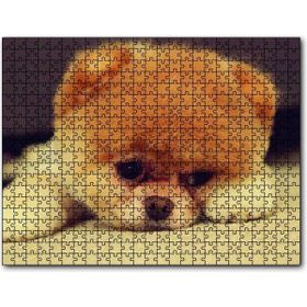 Cakapuzzle Yavru Chow Ahşap 255 Parça Puzzle