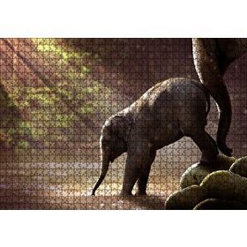 Cakapuzzle Yavru Fil Nehir ve Güneş Işınları 1000 Parça Puzzle