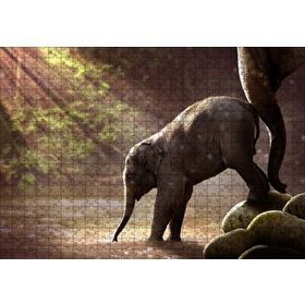 Cakapuzzle Yavru Fil Nehir ve Güneş Işınları 255 Parça Puzzle