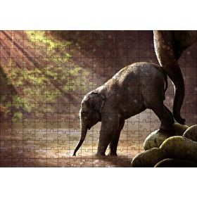 Cakapuzzle Yavru Fil Nehir ve Güneş Işınları 255 Parça Puzzle