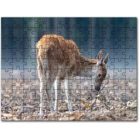 Cakapuzzle Yavru Geyik ve Yerde Kuru Yapraklar Mdf 1000 Parça Puzzle