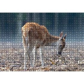 Cakapuzzle Yavru Geyik ve Yerde Kuru Yapraklar Mdf 1000 Parça Puzzle