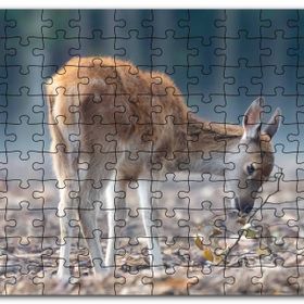 Cakapuzzle Yavru Geyik ve Yerde Kuru Yapraklar Mdf 255 Parça Puzzle