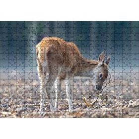 Cakapuzzle Yavru Geyik ve Yerde Kuru Yapraklar Mdf 255 Parça Puzzle