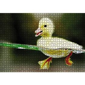 Cakapuzzle Yavru Sarı Ördek 1000 Parça Puzzle