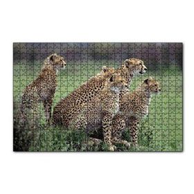 Cakapuzzle Yavrularına Eğitim Veren Anne Çita 120 Parça Ahşap Puzzle