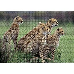 Cakapuzzle Yavrularına Eğitim Veren Anne Çita 120 Parça Ahşap Puzzle