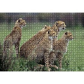 Cakapuzzle Yavrularına Eğitim Veren Anne Çita 120 Parça Ahşap Puzzle
