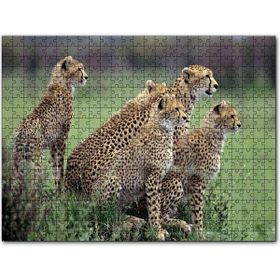 Cakapuzzle Yavrularına Eğitim Veren Anne Çita Mdf 255 Parça Puzzle