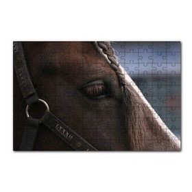 Cakapuzzle Yelesi Örülü Kahverengi At Yakın Çekim 120 Parça Ahşap Puzzle